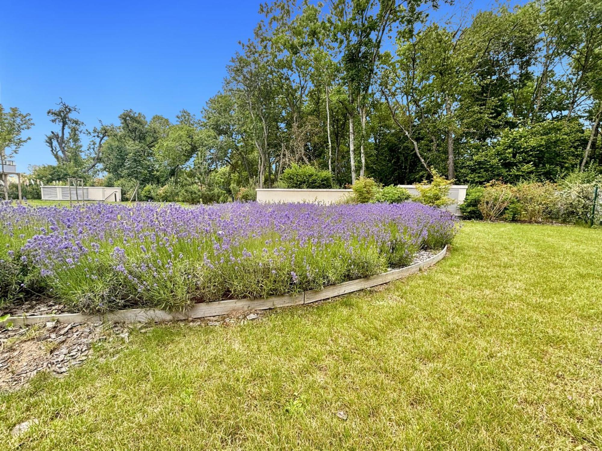 Sunny Suite Disneyland Paris - Rentaway Bnb Montevrain Exterior photo